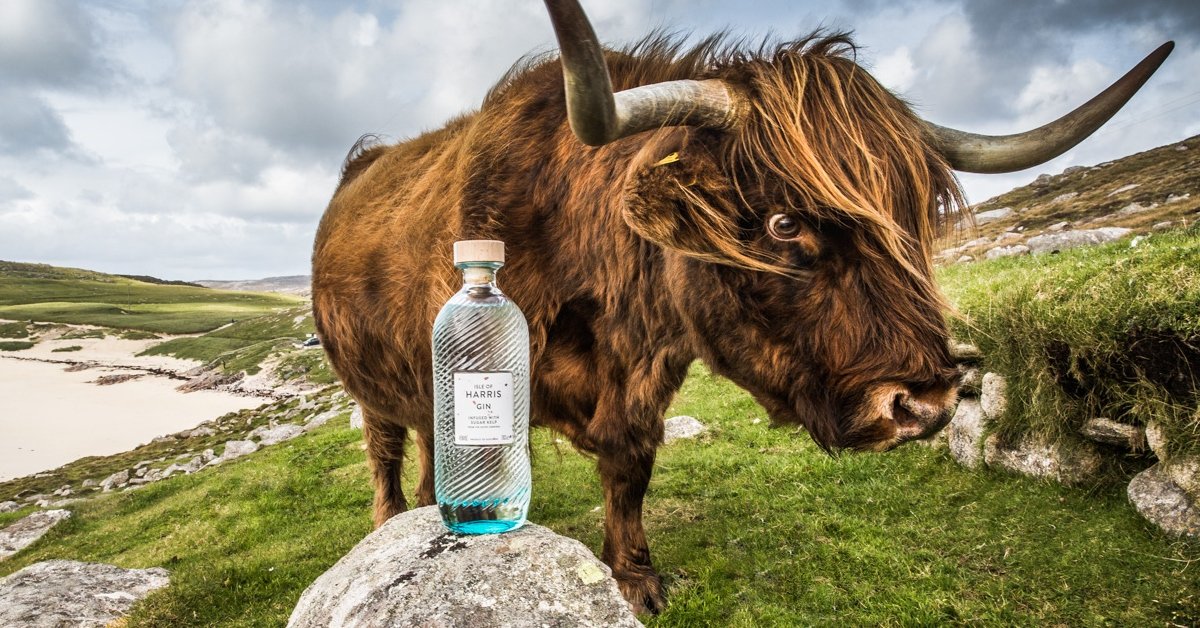 Isle of Harris Distillery Isle of Harris Gin